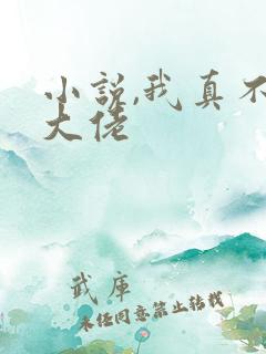小说,我真不是大佬