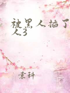 被黑人插了的女人3