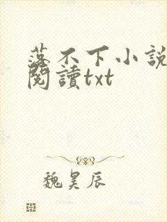 落不下小说免费阅读txt