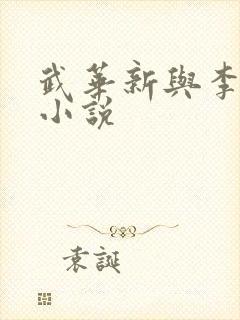 武华新与李茹菲小说