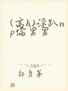 (高h)淫趴np伦男男