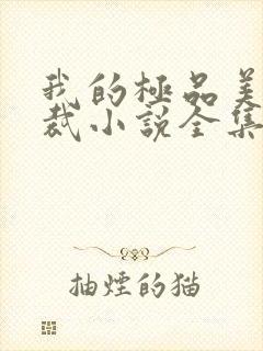 我的极品美女总裁小说全集