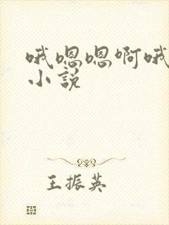 哦嗯嗯啊哦嗯啊小说