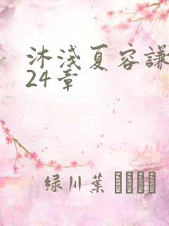 沐浅夏容谦小说24章