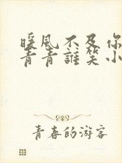 暖风不及你情深青青谁笑小说在线阅读全文