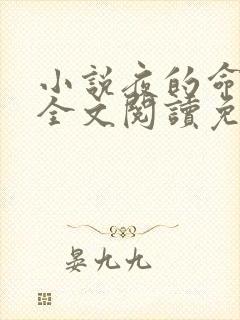 小说夜的命名术全文阅读免费