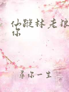 仙踪林老狼欢迎你