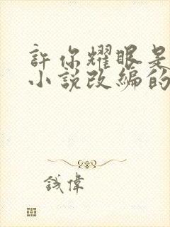 许你耀眼是哪部小说改编的