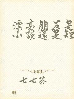 漂亮朋友是长篇小说还是短篇小说