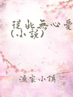 从此无心爱良夜(小说)