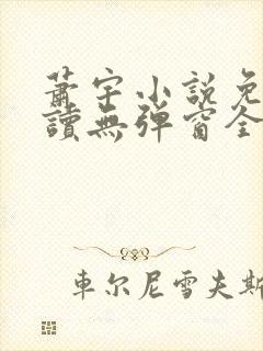 萧宇小说免费阅读无弹窗全文