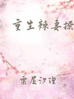 重生辣妻撩夫忙