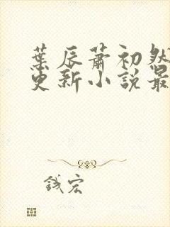叶辰萧初然最快更新小说最新