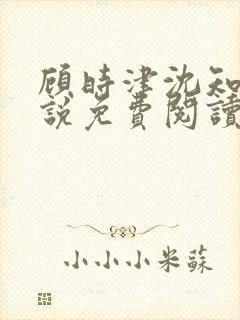 顾时津沈知意小说免费阅读最新章节