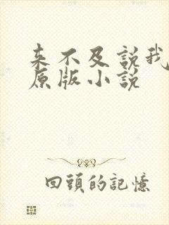 来不及说我爱你原版小说