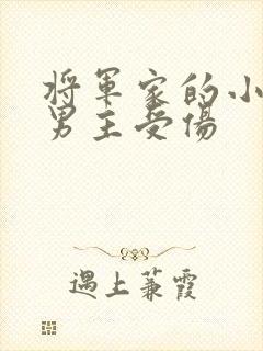 将军家的小娘子男主受伤