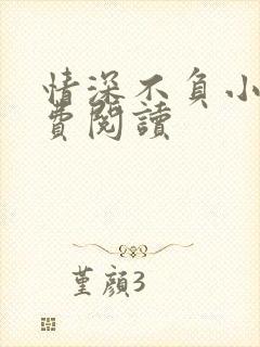 情深不负小说免费阅读