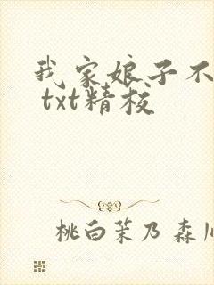 我家娘子不对劲 txt精校