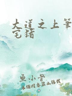 大道之上笔趣阁宅猪