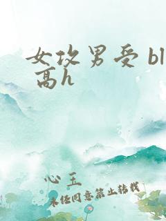 女攻男受 bl 高h