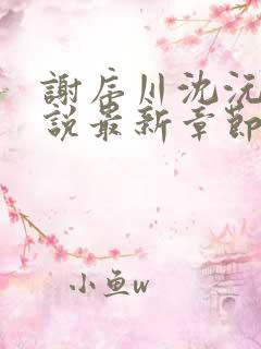 谢序川沈沅珠小说最新章节免费阅读