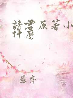 请君原著小说叫什么