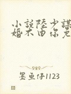 小说陆少谋妻之婚不由你免费阅读