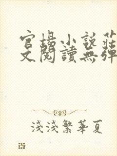 官场小说庄岩全文阅读无弹窗