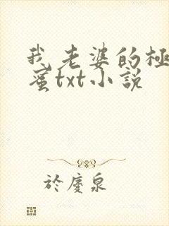 我老婆的极品闺蜜txt小说