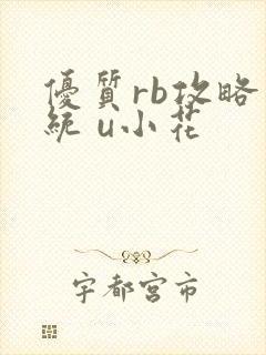 优质rb攻略系统 u小花