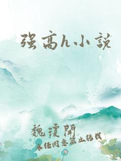 强高h小说