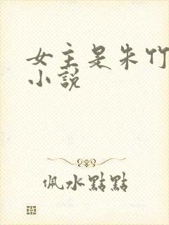 女主是朱竹清的小说