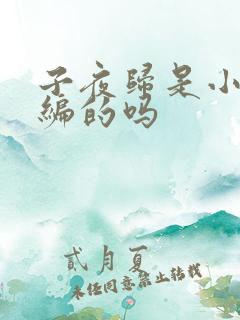 子夜归是小说改编的吗