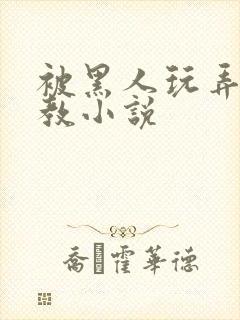 被黑人玩弄h调教小说