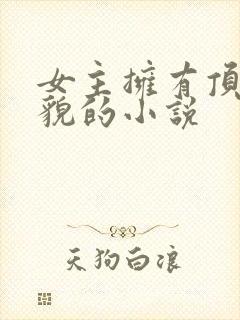 女主拥有顶级美貌的小说