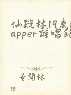 仙踪林19岁rapper谁唱的