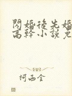闪婚后先婚后爱高干小说免费阅读