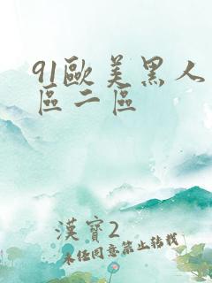 91欧美黑人一区二区