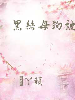 黑丝母狗被爆操