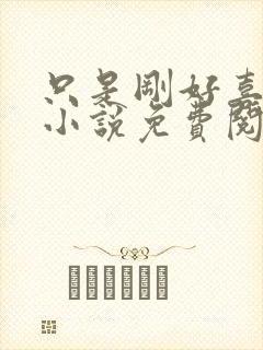 只是刚好喜欢你小说免费阅读全文