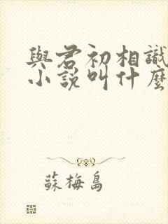 与君初相识原著小说叫什么