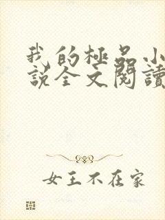 我的极品小姨小说全文阅读免费