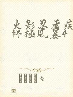 火影忍者疾风传终极风暴4