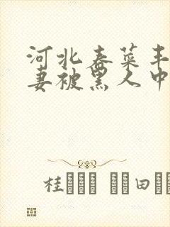 河北春菜丰满人妻被黑人中出