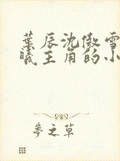 叶辰沈傲雪林若曦主角的小说