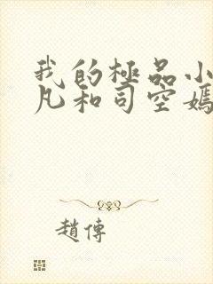 我的极品小姨叶凡和司空嫣的小说