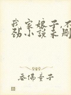 我家娘子,不对劲小说未删版