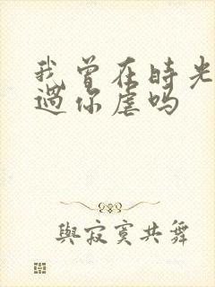 我曾在时光里听过你虐吗