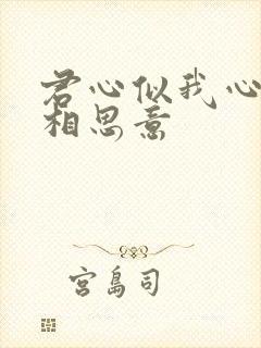 君心似我心不负相思意