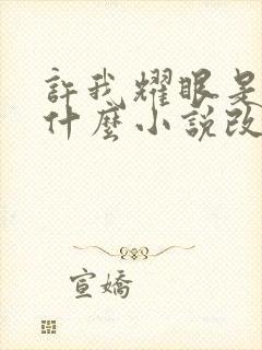 许我耀眼是根据什么小说改编